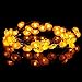 SOMUNS Halloween Lights, 40 LED Pumpkin String Lights for Indoor, Halloween Christmas Decorations, Battery Operated