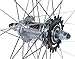 Capstone Beach Cruiser 26 inch Aloy Rear Wheel Bolt On 36H Coaster Brake