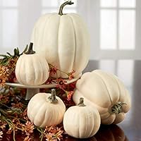 Factory Direct Craft Package of 5 Assorted Size Harvest Off White Artificial Pumpkins for Halloween, Fall and Thanksgiving Decorating