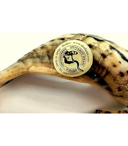 Shofar En Corne Gemsbok Polie Naturel - Trompe Juive Cachère Pour Cérémonies Religieuses