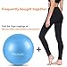 PROMIC Exercise Ball (65 cm) with Foot Pump, Professional Grade Anti Burst & Slip Resistant Stability Balance Yoga Ball for Yoga, Workout, Cardio Drumming, Classroom, Work Ball Chair (Blue)