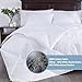 puredown® Lightweight Goose Feather Down Comforter Queen Size, White Duvet Insert Full for Warm Weather/Hot Sleeper(White, 88 * 88