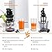 Homgeek Juicer Slow Masticating Juicer Extractor, Cold Press Juicer Machine, Quiet Motor and Reverse Function, with Juice Jug and Brush to Clean Conveniently, High Nutrient Fruit and Vegetable Juice (Sliver)
