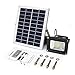 Remote Control Solar Flood Light, Lineway 10W 450 Lumen Outdoor Waterproof Dimmable Solar Powered Flood Light for Garden/Yard/Patio/Swimming Pool/Barbeque/Party