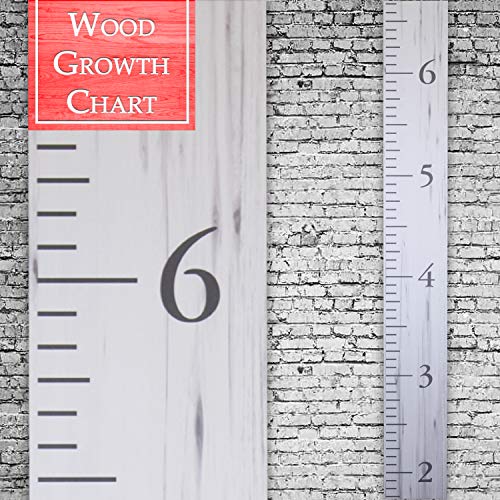 Back40Life | The Benchmark - 60