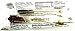 Dryden & Palmer Amber Rock Candy Barista Sticks, 4.5