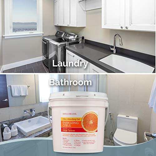 1 Smells+Begone+Odor+Absorber+Solid