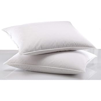 Amazon.com: Essence of Bamboo Derived Rayon Pillows - The ...