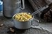 Mountain House Noodles & Chicken
