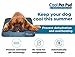 The Green Pet Shop Cooling Pet Mat / Pad - Patented Pressure-Activated Cool Gel Technology - Help Your Dog Stay Cool - Prevent Overheating and Dehydration - Ideal for Home and Travel - Medium/Large