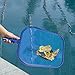 IEBIYO Pool Skimmer, Durable Nylon Micro-Mesh Pool Skimmer Leaf Net with Thick and Well Made Plastic Frame Fits Most Standard Pole for Swimming Pool Cleaning(Plastic Frame)