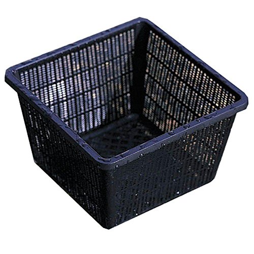 Square Koi Pond Plastic Mesh Plant Basket 13 Inch (34cm), for Large Aquatic Pond Plants, Plastic