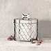 Amici Pet, , Chance Oval Metal Treats Storage Canister, Stainless Steel Diamond Texture, Silver Tone Bone Knob, Food Safe, 52 Ounces