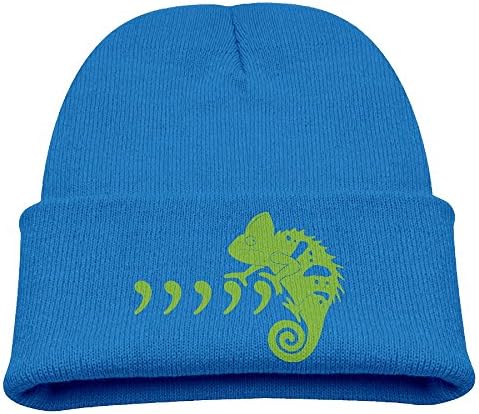XIAOHU Green Cool Chameleon Kid Heather Beanie RoyalBlue