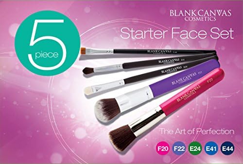 Blank Canvas 5 Piece Starter Face Set ( Brushes Only ) F20 , F22, E24, E41, E44