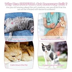 SUNFURA Cat Recovery Suit, Kitten Surgical Full