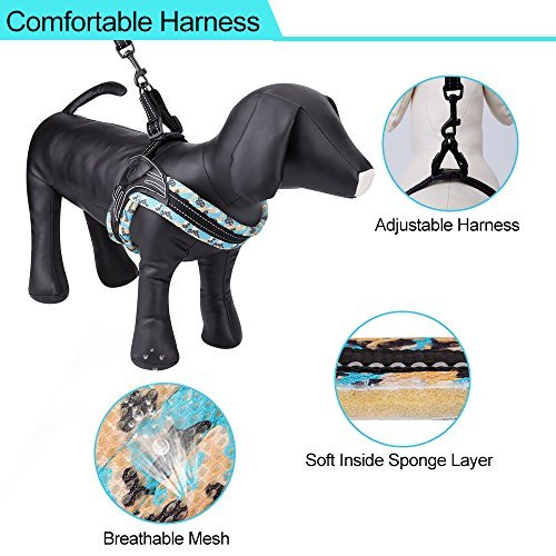 SIAYI Dog Harness & Leash Set, Reflective No-Pull Comfort Padded Walking Harness Vest and Dog Leash with Cushioned Handle, Adjustable & Lightweight for Small Medium & Large Size Dogs (S)
