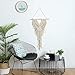 Ricdecor Dream Catcher Wall Hanging Car Hanging Decoration Ornament (White)