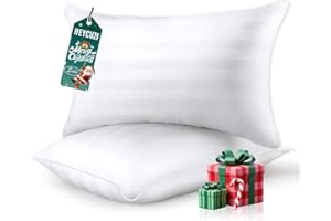 HEYCUZI Queen Size Bed Pillows Set of 2 - Premium Down Alternative Breathable Pillows for Side, Back, and Stomach Sleepers Fluffy Hotel Quality Soft Microfiber Fill Cooling Skin-Friendly