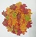 Senswalan Artificial Maple Leaves,500 pcs 10 Color Mixed Rich Fall Colored Leaves for Weddings Decorations or Christmas Party