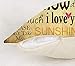 4TH Emotion You are My Sunshine Love Quotes Home Decorative Vintage Throw Pillow Cover Cusion Case Cotton Linen 18 x 18 Inches
