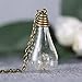 FM42 Dried Dandelion Seed Glass Locket Pendant Necklace with 26