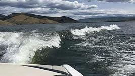 Review Image by A. Mefford A. Mefford