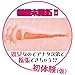 ToysHeart Virgin Age Admission Japanese Masturbator Onahole