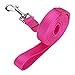 ITERY Dog Leash, Pet Durable Leash Strap for Puppy Pet Leash Rope 6-feet Long 3/4 Inch Wide (Hot Pink, 6 Feet)