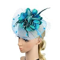 lagita Fascinator Wedding Evening Party Derby Hat With Veil Feather Hair Clip, Flower Cocktail Tea Party Headwear Feather for Women Girls (Lake Blue)