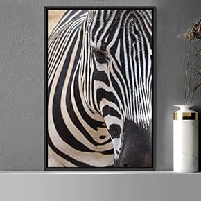 signwin Framed Canvas Wall Art Zebra Animals Dramatic...