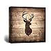 wall26 - Square Canvas Wall Art - Deer with Antler Silhouette on Rustic Wood Board Texture Background - Giclee Print Gallery Wrap Modern Home Art Ready to Hang - 24x24 inches