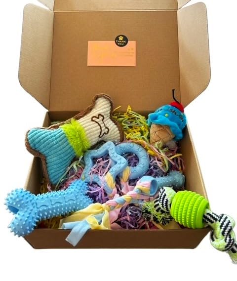 Puppy Love: New Boy Puppy Gift Box - Teething and Squeaker Toys | 6-Pack Puppy Chew Toy Set for Small Breeds | Durable Rope & Soft Rubber, Cute Teething Relief Toys for Playtime