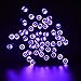 Qedertek Solar String Lights, 39ft 100 LED String Lights Solar Powered for Outdoor, Home, Lawn, Wedding, Patio, Party and Holiday Decorations (Purple)
