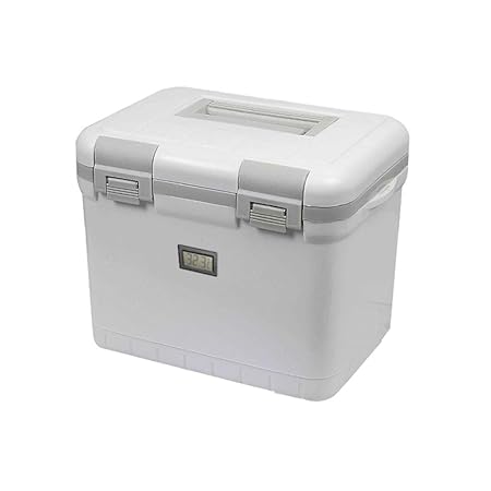 LIYANBWX - Nevera pasiva para Coche, refrigerador y Calentador de ...