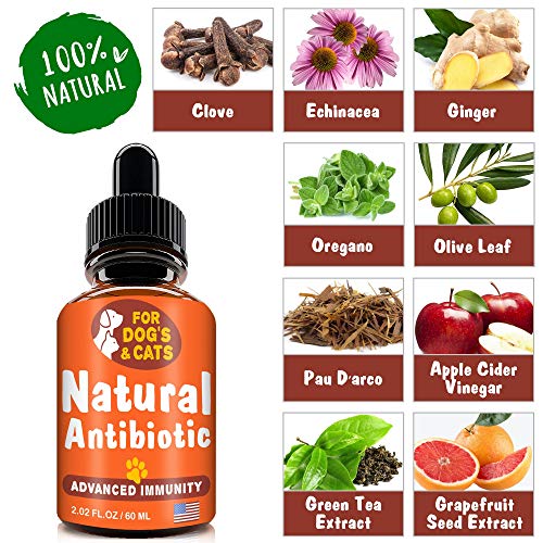 Goodgrowlies Natural Antibiotic For Dogs And Cats Kennel Cough Medicine For Pets Immune System Booster Allergy Relief Health Supplement Uti Treatment Made In Usa 2oz Pricepulse