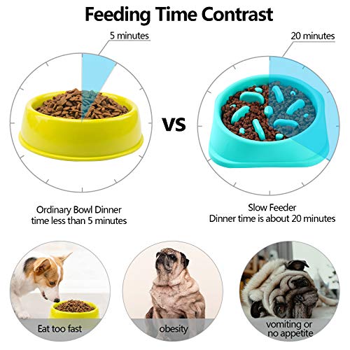 interactive dog bowl