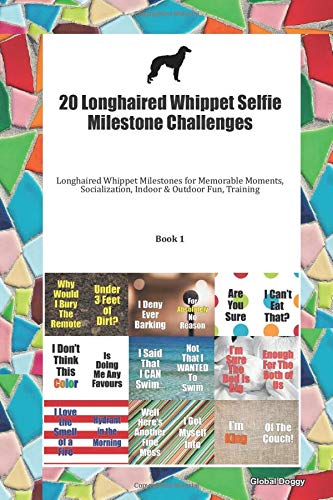20 Longhaired Whippet Selfie Milestone Challenges Longhaired