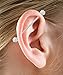 ORAZIO 7PCS 14G Stainless Steel Industrial Barbell Earrings for Women Men Cartilage Helix Piercing Jewelry Silver Tone 1 1/2 Inch(38mm)