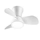 SUNMORY Ceiling Fans with Lights and Remote, 22