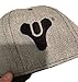 Destiny Raid Skull Grey and Black Baseball Hat - One Size Fits Most