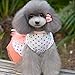 Pet Dog Dress,SJINC(TM) 2015 Romantic, Lovely, Puppy Dog, Princess, Tutu, Dress (S, Orange)
