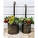 Arbor Lane Rustic Metal Tin Hanging Planter Dippers, Farmhouse Style - Nesting Set of 2