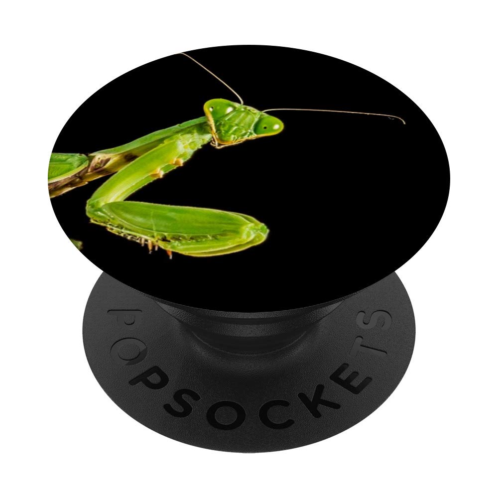 Praying Mantis Peek-a-Boo PopSockets PopGrip: Swappable Grip for Phones & Tablets