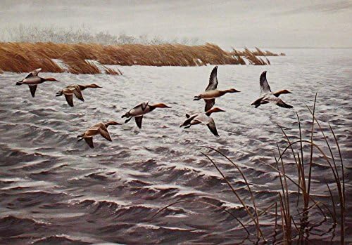 Maynard Reece - Against the Wind Open Edition on Paper