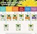 Traditional Medicinals Organic Smooth Move Laxative Tea, 16 Tea Bags (Pack of 1)