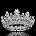 FUMUD Austrian Rhinestone Crystal Tiara Crown Peacock Bridal Hair Accessories For Wedding Quinceanera Tiara Crown Pageant Diamante Tiara (Silver)