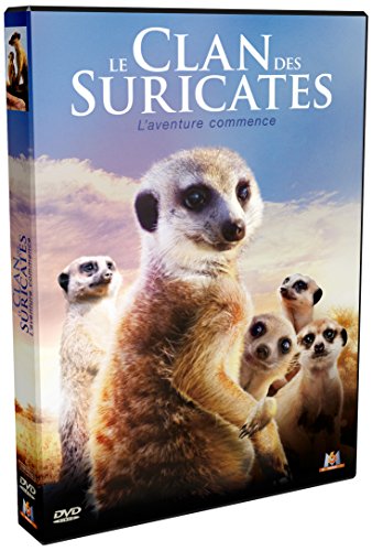 Le Clan des suricates : L'aventure commence