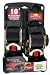Erickson 34416 Pro Series Black 2" x 10' Retractable Ratcheting Tie-Down Strap primary