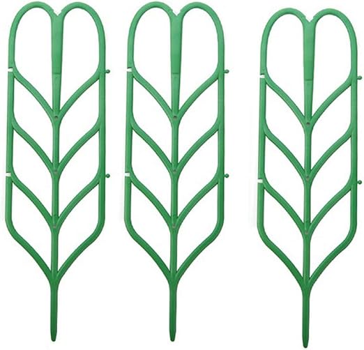 Tiansiangjjeu - Marco de Soporte para Plantas trepadoras (3 ...